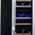 Steel 29 Bottle Wine Fridge Dual Zone Pavo-0