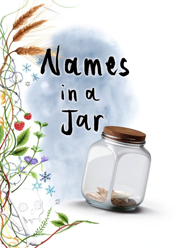 Adoption Fiction Kindle eBook Second Story Press-0