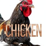 Holocaust Fiction eBook A Chicken Was There Kindle StoryPress Edition-0